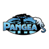 Pangea Reptile