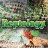 Reptology
